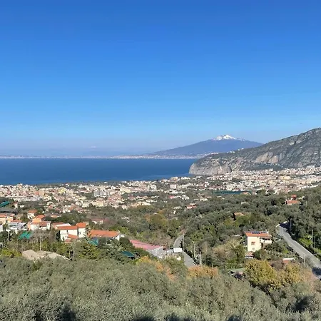 Holidays Homes The Dream