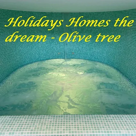 Holidays Homes The Dream *