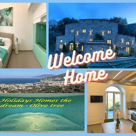 Appart hôtel Holidays Homes The Dream
